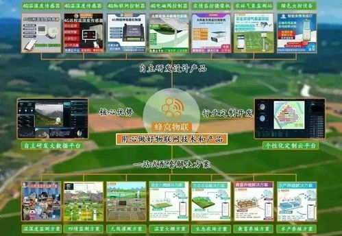 四情監測系統助力三明沙縣智慧茶園科學管控，提產增效